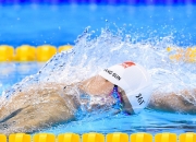 熊猫体育-赛道上的新纪元，皮亚斯特里点燃赛场，迈凯伦碾压威廉姆斯