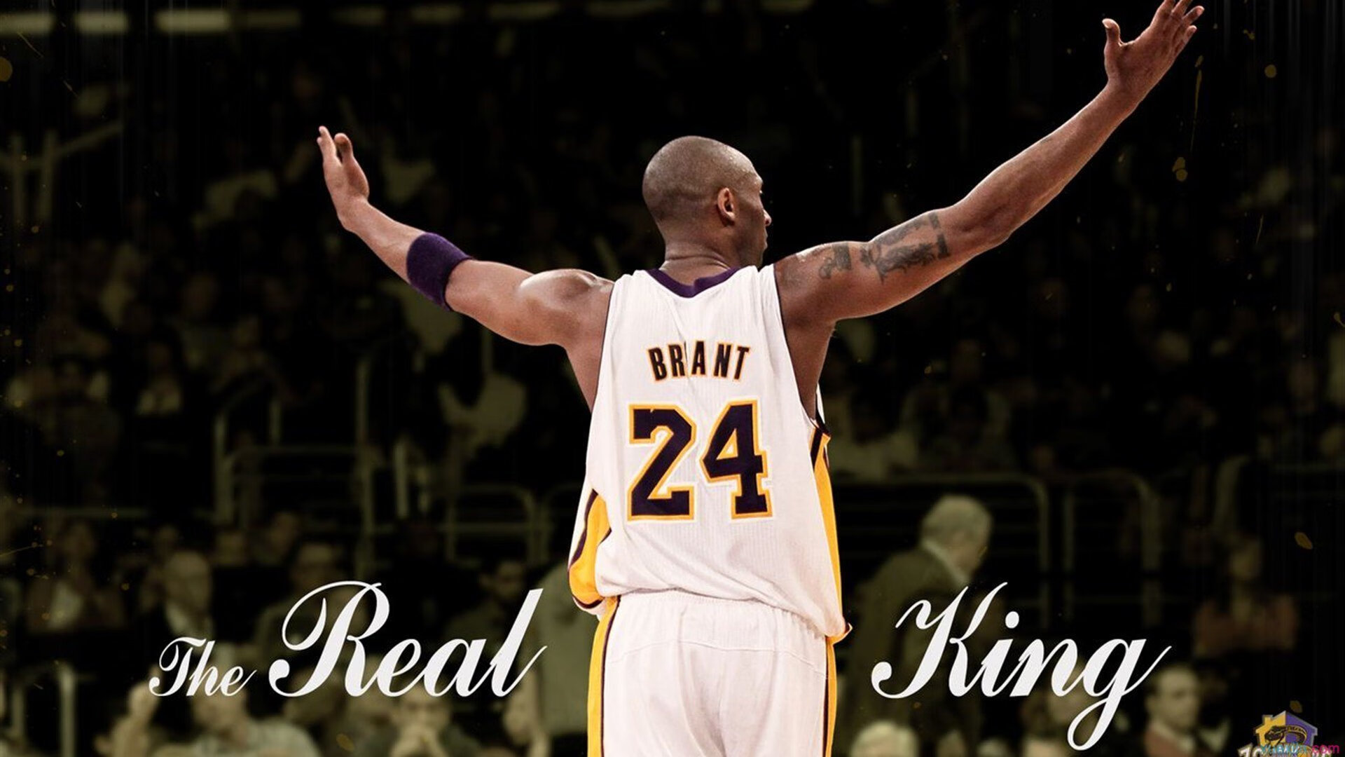 哈利伯顿接管季后赛，爵士强势击败黄蜂的唯一性解读